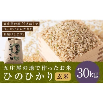五庄屋の地で作ったお米 ひのひかり 玄米30kg U160-1RC-BW02-30