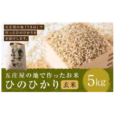五庄屋の地で作ったお米 ひのひかり 玄米5kg U160-1RC-BW02-05