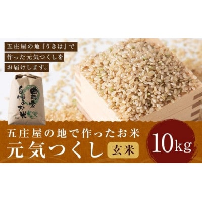 五庄屋の地で作ったお米 元気つくし 玄米10kg U160-1RC-BW01-10