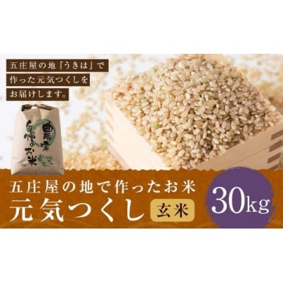 五庄屋の地で作ったお米 元気つくし 玄米30kg U160-1RC-BW01-30