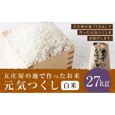五庄屋の地で作ったお米 元気つくし 白米27kg U160-1RC-PD01-27