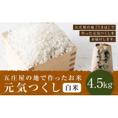 五庄屋の地で作ったお米 元気つくし 白米4.5kg U160-1RC-PD01-04