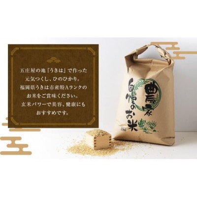 五庄屋の地で作った玄米食べ比べ(元気つくし・ひのひかり) 各5kg U160-1RC-BWSE-10