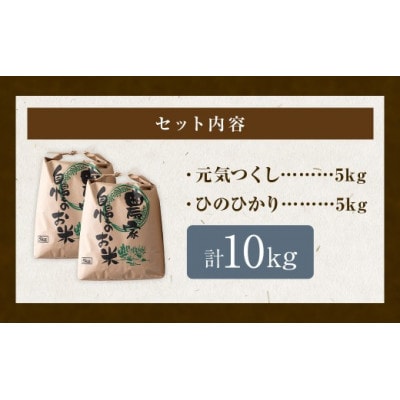 五庄屋の地で作った玄米食べ比べ(元気つくし・ひのひかり) 各5kg U160-1RC-BWSE-10