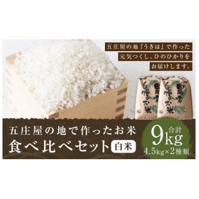五庄屋の地で作った白米セット(元気つくし・ひのひかり各4.5kg) U160-1RC-PDSE-09