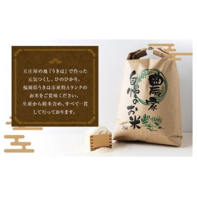 五庄屋の地で作った白米セット(元気つくし・ひのひかり各4.5kg) U160-1RC-PDSE-09