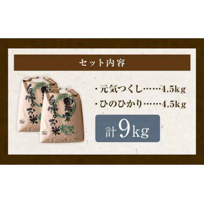 五庄屋の地で作った白米セット(元気つくし・ひのひかり各4.5kg) U160-1RC-PDSE-09