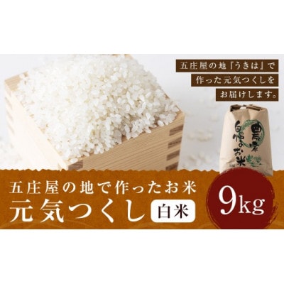 五庄屋の地で作ったお米 元気つくし 白米9kg U160-1RC-PD01-09