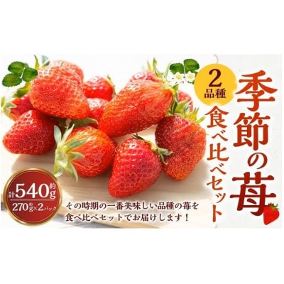 【2026年2月以降発送】よかもんいちご 2品種食べ比べセット　U089-2SB-CSE2-02