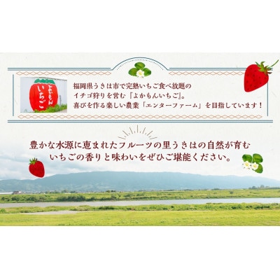 【2026年2月以降発送】よかもんいちご 2品種食べ比べセット　U089-2SB-CSE2-02