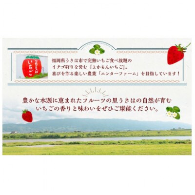 【2026年2月以降発送】よかもんいちご 4品種食べ比べセット　U089-2SB-CSE4-02