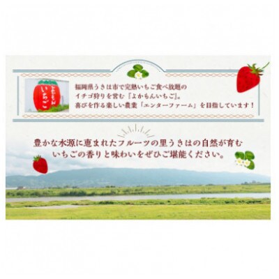 【2026年4月以降発送】よかもんいちご 4品種食べ比べセット　U089-2SB-CSE4-04