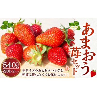 【2026年3月以降発送】よかもんいちご あまおう苺セット2パック　U089-2SB-ASE2-03