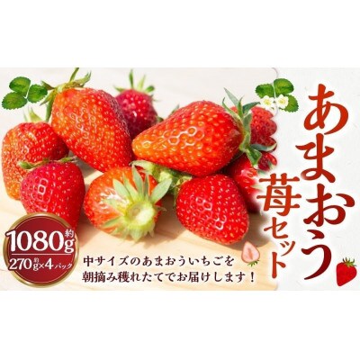 【2026年2月以降発送】よかもんいちご あまおう苺セット4パック　U089-2SB-ASE4-02