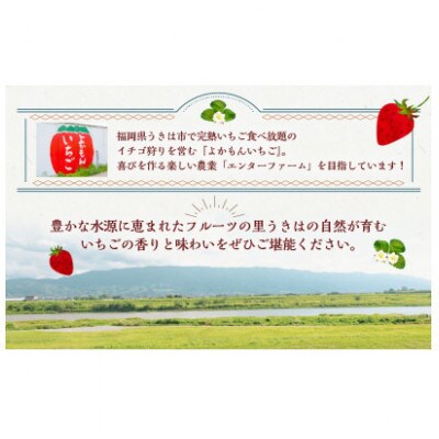 【2026年2月以降発送】よかもんいちご あまおう苺セット4パック　U089-2SB-ASE4-02