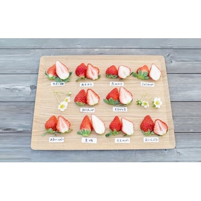 【2025年12月下旬以降発送】よかもんいちごの朝採りいちご約700g　U089-2SB-M070