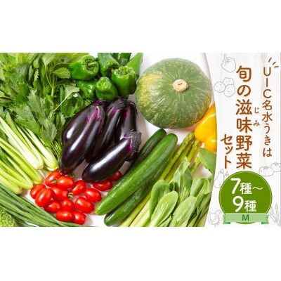 名水うきは 旬の滋味(じみ)野菜セットM 　U011-1VE-SEUM