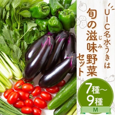 名水うきは 旬の滋味(じみ)野菜セットM 　U011-1VE-SEUM