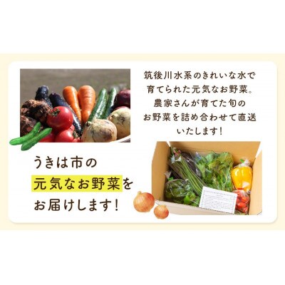 名水うきは 旬の滋味(じみ)野菜セットS 　U011-1VE-SEUS