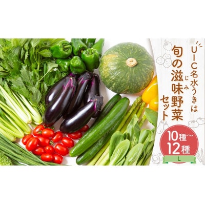 名水うきは 旬の滋味(じみ)野菜セットL 　U011-1VE-SEUL