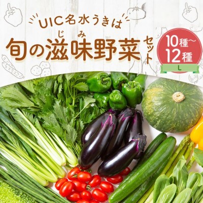 名水うきは 旬の滋味(じみ)野菜セットL 　U011-1VE-SEUL