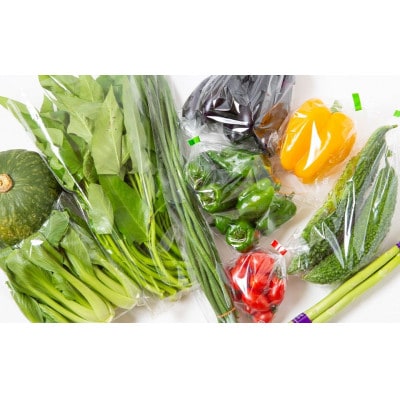 名水うきは 旬の滋味(じみ)野菜セットL 　U011-1VE-SEUL