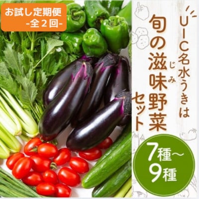 【毎月定期便】【お試し】名水うきは 旬の滋味(じみ)野菜セット　全2回