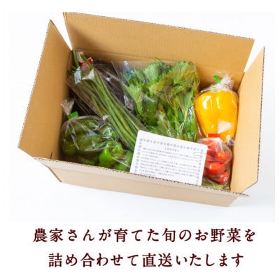 【毎月定期便】【お試し】名水うきは 旬の滋味(じみ)野菜セット　全2回