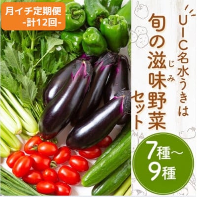 【毎月定期便】名水うきは 旬の滋味(じみ)野菜セット　全12回