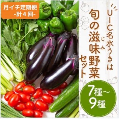 【毎月定期便】名水うきは 旬の滋味(じみ)野菜セット　全4回