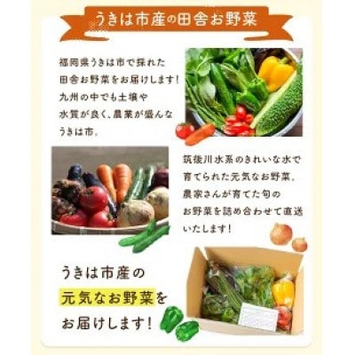 【毎月定期便】名水うきは 旬の滋味(じみ)野菜セット　全4回