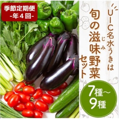 【3ヵ月毎定期便】名水うきは 旬の滋味(じみ)野菜セット〈季節ごとにお届け〉全4回