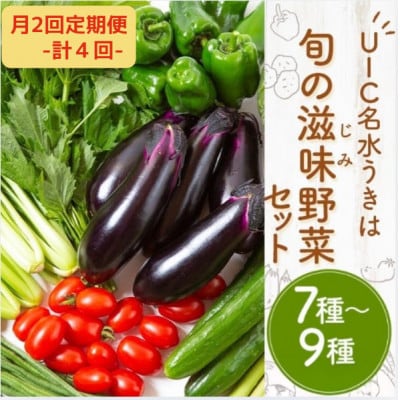 【2週間毎定期便】名水うきは 旬の滋味(じみ)野菜セット　全4回