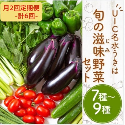 【2週間毎定期便】名水うきは 旬の滋味(じみ)野菜セット　全6回