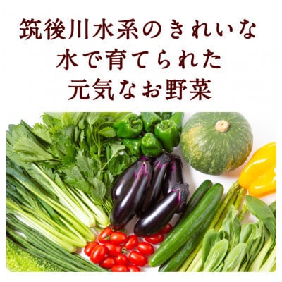 【2週間毎定期便】名水うきは 旬の滋味(じみ)野菜セット　全6回