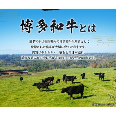 【博多和牛】もも肉ブロック(かたまり)300g×2パック U011-1PP-BF06