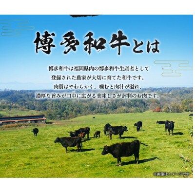 【博多和牛】もつ鍋 和牛ホルモン500g(自家製ホルモン焼きたれ付き) U011-1PP-BF04