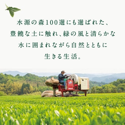 うきはの山茶プレミアムGIFT(桐箱入り)  U046-1DR-TLPG