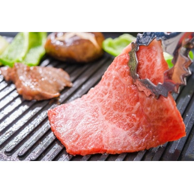 【A4～A5】博多和牛赤身モモ焼肉用 500g(うきは市)