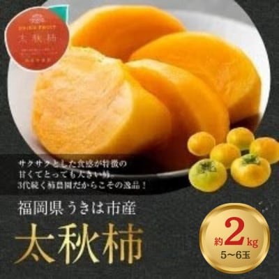 【先行予約】西見柿農園 特選太秋柿5玉～6玉(約2kg) 2026年11月上旬～12月上旬発送予定