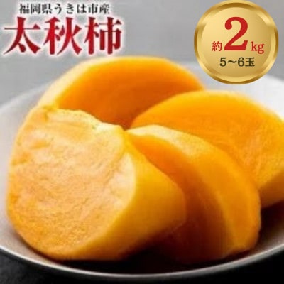 【先行予約】西見柿農園 特選太秋柿5玉～6玉(約2kg) 2026年11月上旬～12月上旬発送予定