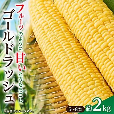 とうもろこし ゴールドラッシュ 5本～8本入(約2kg) フルーツコーン