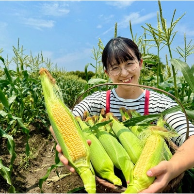 とうもろこし ゴールドラッシュ 5本～8本入(約2kg) フルーツコーン