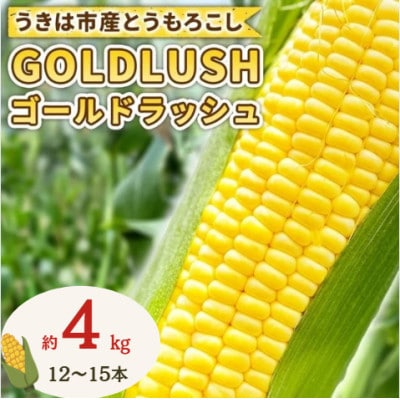 とうもろこし ゴールドラッシュ 12本～15本入(約4kg) フルーツコーン