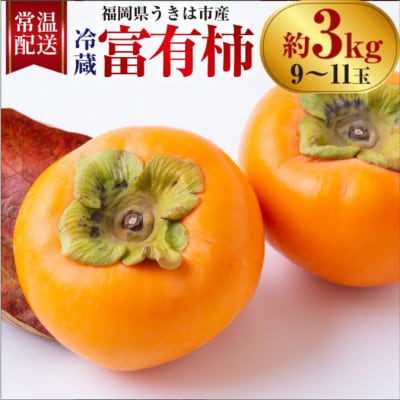 【先行予約】西見柿農園 冷蔵富有柿 9玉から11玉(約3kg)【2026年12月下旬～発送予定】
