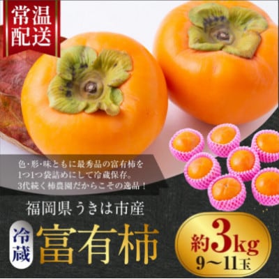 【先行予約】西見柿農園 冷蔵富有柿 9玉から11玉(約3kg)【2026年12月下旬～発送予定】