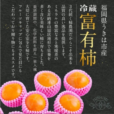 【先行予約】西見柿農園 冷蔵富有柿 9玉から11玉(約3kg)【2026年12月下旬～発送予定】