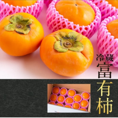 【先行予約】西見柿農園 冷蔵富有柿 9玉から11玉(約3kg)【2026年12月下旬～発送予定】