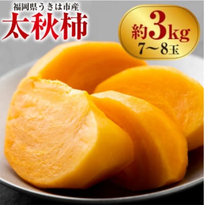 【先行予約】西見柿農園 太秋柿 7玉から8玉(約3kg)【2026年10月下旬～11月上旬発送予定】