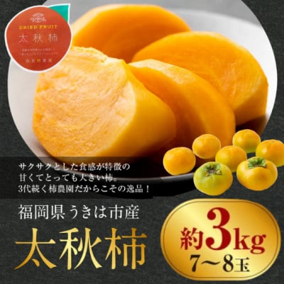 【先行予約】西見柿農園 太秋柿 7玉から8玉(約3kg)【2026年10月下旬～11月上旬発送予定】
